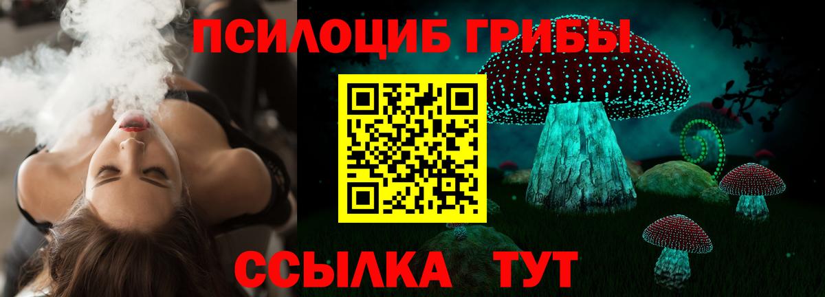 Псилоцибиновые грибы мицелий Клин