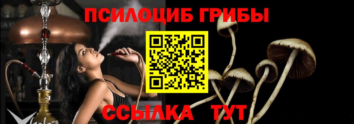 где купить   Галлюциногенные грибы мухоморы  Вход с VPN  Клин 